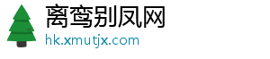 XM官网