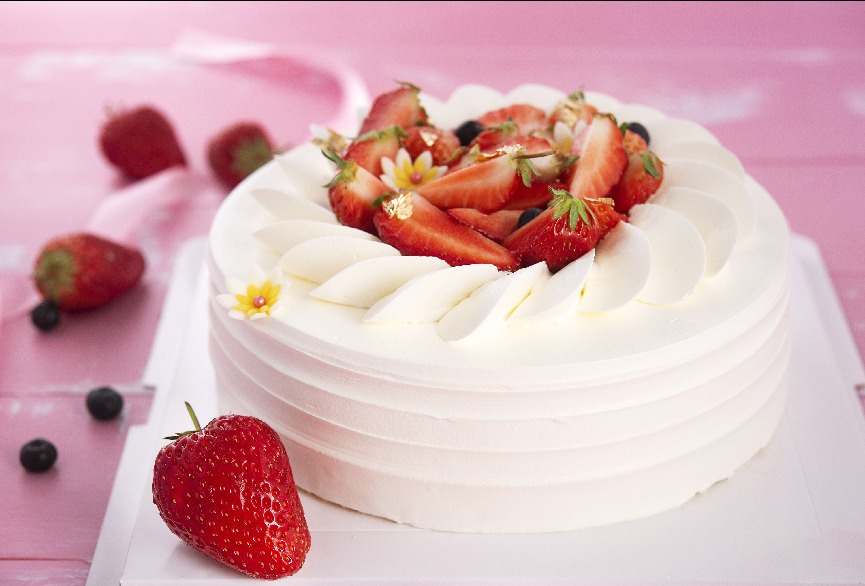 我市部署台风“韦帕”防御工作